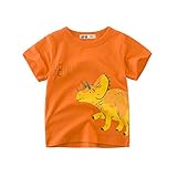 PANCY 子供服 春夏 半袖 Tシャツ キッズ 男の子 女の子 綿100% かわいい 動物 プリント 1歳～10歳 (オレンジ 恐竜,120cm)