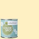 Inspired Eggshell Interior Colorspot Paint Sample, Grain .01, 8-oz [並行輸入品]