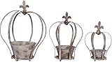 Esschert Design USA AM01 Aged Metal Crown Planter, Set of 3 [並行輸入品]