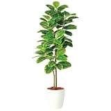 エフプランター 人工観葉植物-アルテシマ株立-150-8号鉢-RP265