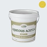 水性塗料 金色 ゴールド 1kg JQ ディッピンペイント Dippin' Paint