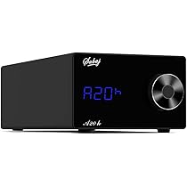 Amazon.co.jp: Sabaj A20h ヘッドホンアンプ 4000ｍＷ高出力/リレー ...