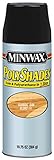 Minwax 31470 Classic Oak Gloss Stain and Polyurethane 10.75-Ounce Spray [並行輸入品]