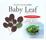 【種子】ベビーリーフ・F1レッドパクチョイ 1L
