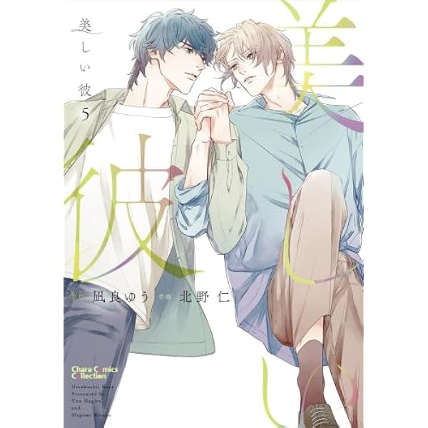 Amazon.co.jp: 美しい彼 ライトノベル 1-5巻セット (徳間書店) : 凪良