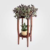 LRW リビングルーム木の花緑の花の棚クロロキウム屋内マルチ階建てのフレーム盆栽フラワースタンド ( Size : M )