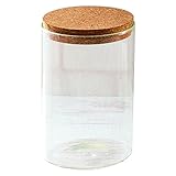 GREENHOUSE ガラスボトルケース M コルク栓付き 3702-B