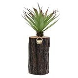 Baoblade Baoblaze 木製の人工的な多肉植物の切り株リビングルームの壁の装飾 - 7