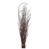 大地農園 ドライフラワー  白樺小枝 (25本入り) ナチュラル DO050780-000