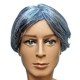 GLOBAL BOX おじいさん おじいちゃん ウィッグ かつら 白髪 メンズ 老人 余興 ものまね フリーサイズ (シルバー)