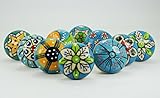 10 Pieces Set of Sky Blue Color Ceramic Knobs Drawer Pulls with Different Design & Chrome Hardware [
