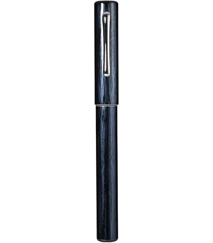 Amazon | プラチナ万年筆 万年筆 F 細字 美巧 近代蒔絵 梅に鶯 PTL