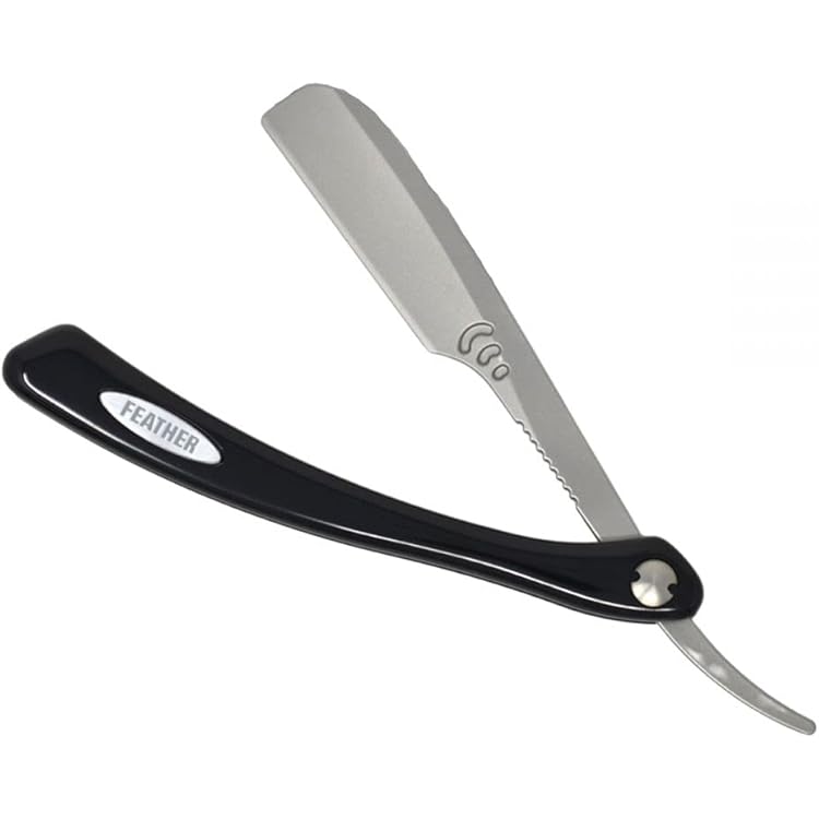 Amazon.co.jp: salonjapan フェザー アーティストクラブDXレザー 1個