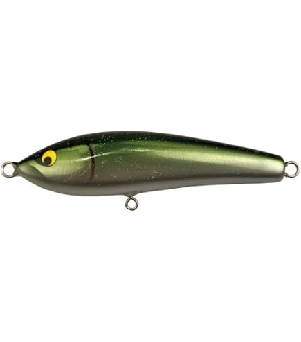 Amazon.co.jp: WooDream ウッドリーム ルアー Akiya アキヤ 200F