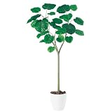 エフプランター 人工観葉植物-ウンベラータ-180-10号鉢-RP300