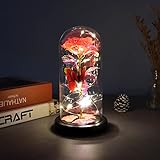 バラ 造花 枯れない花 24Kゴールドリーフローズ 暗闇で光るバラ 蝶の装飾とLEDストリングライト