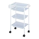 トレーワゴン クリア [ エステワゴン ネイルワゴン キッチンワゴン マルチワゴン サイドワゴン キャスター付き 収納 業務用 サロン ワゴン ラック ]◆
