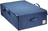 東洋ケース ストレリアナチュレ ケース 収納ボックス ふた付き ベッド下収納 幅39×奥行60×高さ18cm ブルー ESTN-CBUB-BL