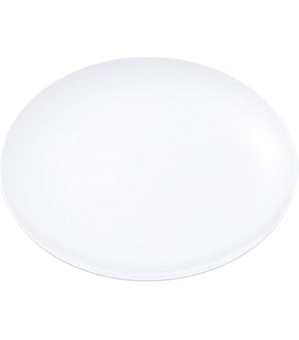 白い食器 24cmプレート｜白い食器｜DISK｜ニッコー公式オンラインショップ