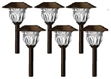 Northern International TV28568BR6 FS6PK Ss Brz Path Light [並行輸入品]