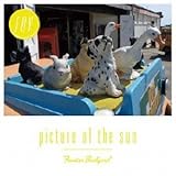 picture of the sun-7inch初回限定-
