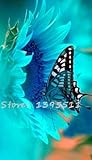 New 40pcs/bag 24 colors sunflower seeds Organic Helianthus annuus seeds ornamental flower seed sunfl
