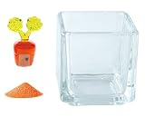 花市場直送便 ミニチュアガラス にんじんハウス & カラーサンド オレンジ & 植え込み用グラス ニューブロックS