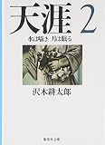天涯 2 水は囁き 月は眠る (集英社文庫)
