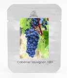 1プロフェッショナルパック、100粒/パック、カベルネ・ソーヴィニヨンブドウ種子ハーディ植物苗＃NF470