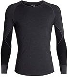 アイスブレーカー 260 テック ロングスリーブ