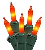 Vickerman Mini Light Set Features 100 Bulbs Lights on Green Wire and 4" Bulb Spacing for Indoor/Outd