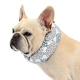 クールネック 犬 2025年モデル 全20柄 夏 暑さ対策 ひんやり リード穴付き 保冷剤付属 首 裏生地防水 アルミ フレンチブルドック フレブル クールスヌード おしゃれ スイカ 熱中症予防 小型犬 中型犬 大型犬 KM882G (2XLサイズ, 22ボタニカル)