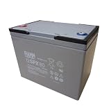 FIAMM 清掃機 業務用掃除機 エレカ用 バッテリー 12SPX80