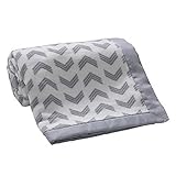 Lambs & Ivy Jensen Collection Coral Fleece Blanket by Lambs & Ivy [並行輸入品]