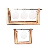 MagiDeal 2セットガラステーブルフラワー花瓶水耕コンテナホームオフィス装飾Beakers