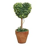 ミニ盆栽，SODIAL(R)プラスチックガーデングラスボール　トピアリーツリーポット　乾燥植物　ウェディングパーティーの装飾（ハート形）