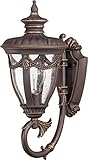 Nuvo 60/2045 Arm Up Wall Lantern with Clear Seeded Glass Small [並行輸入品]
