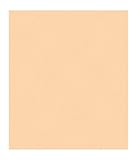 York Wallcoveringsカラー式Tiny Animal Print 8 x 10壁紙メモ型サンプルヌードベージュ
