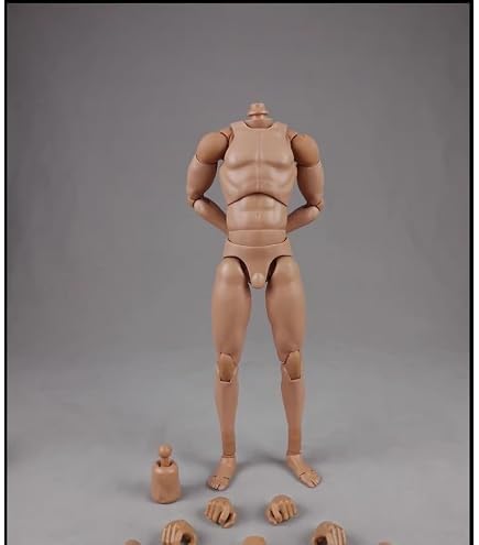 Amazon | ホットトイズ・トゥルータイプ 1/6スケールフィギュア素体