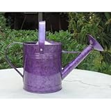 Austram-グリフィスクリークは800164 1ガロン金属じょうろパープルデザイン