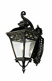 Transglobe Lighting 50510 BRB Outdoor Wall Light with Seeded Glass Shade, Burnished Bronze Finished 