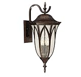 Savoy House 5-1244-56 Dayton Wall Lantern [並行輸入品]