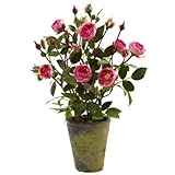 French Rose Garden