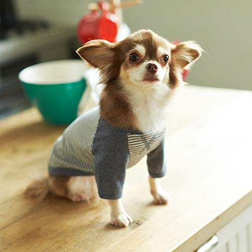 Mr Children 羊 吠える 歌詞の意味を徹底解説 吠える羊ってどういうこと 倦怠期って難しい 音楽メディアotokake オトカケ