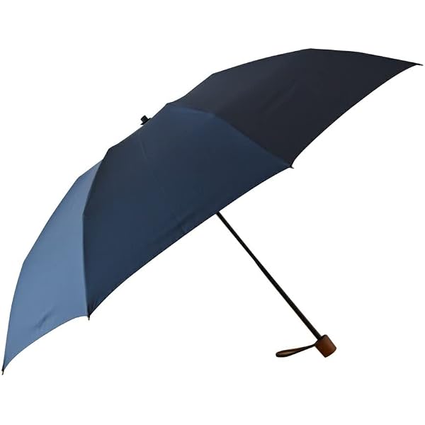 Amazon | 日本製 長傘 ミラトーレ 16本 65cm カーボン骨 手開き 超軽量