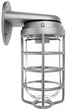 RAB VBR100PWB Vapor Proof Bracket Outdoor Sconce [並行輸入品]