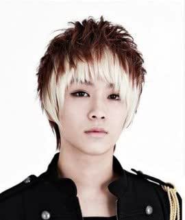 Amazon ウィッグ メンズ 男性 メッシュ パンク 耐熱 235 エクステ１色セット エクステ レッド ウィッグ ライトブラウン フルウィッグ 通販