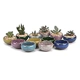 T4U 6.5CM 陶器ミ二植木鉢 氷裂紫砂シリーズ 多肉植物 サボテン鉢 フラワーポット プランター容器 12個入り