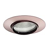 Juno Lighting 10-ABZ 4-Inch Gimbal Ring Trim, Aged Bronze [並行輸入品]