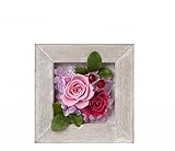 アンティークフレーム正方形 S ピンク SD6310P SD6310P